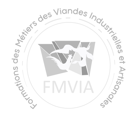 Logo FMVIA